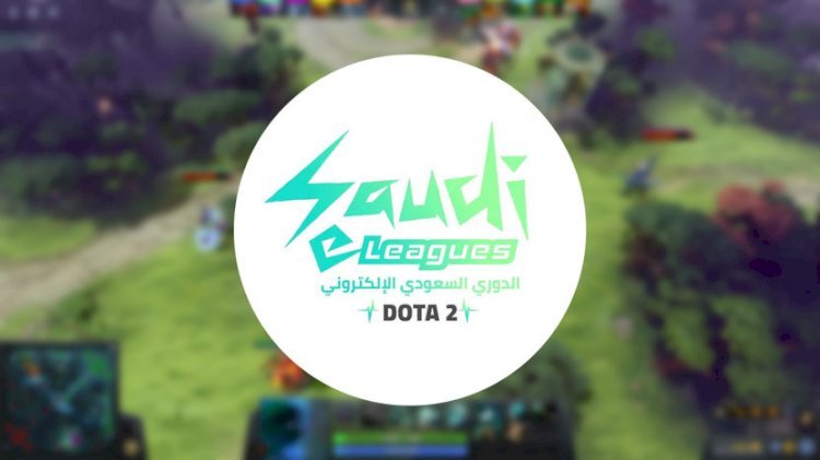 Esports x Saudi Arabia | Pro-esports League with $500,000 prizes to increase the number of Professional Gamers